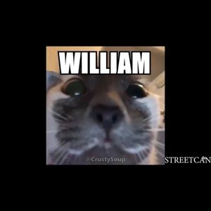 Meet your Posher, William